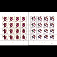 邮票 集邮 2020年 东吴收藏 2020-1 生肖鼠年 【完整版大版张】