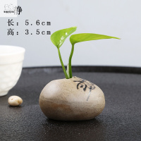 养花的玻璃瓶 办公桌摆件客厅创意个花瓶铜钱透明玻璃水养植物绿萝水培花盆花瓶简约创意插鲜花客厅欧式 迷你石头静 中等