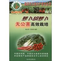 萝卜胡萝卜无公害高效栽培赵志伟9787508223797