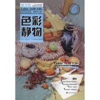 色彩静物谭胜利9787531833123