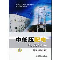 中低压配电技能实务李天友9787512324039