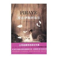 爱在伊斯坦布尔(土耳其)典.桑恩9787020094516