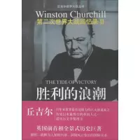 胜利的浪潮(11)丘吉尔9787544735186