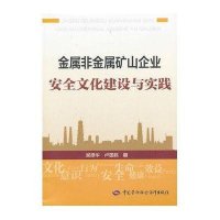 金属非金属矿山企业安全文化建设与实践谢振华9787516703854