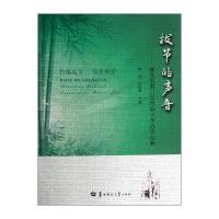 拔节的声音:湖北省荆门市竹园小学办学纪略熊虎9787562259695