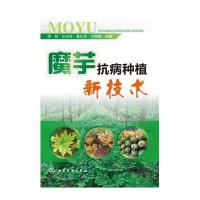 魔芋抗病种植新技术周燚9787122168559