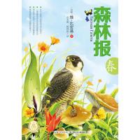 森林报:春(苏联)维？比安基9787535380715