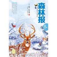 森林报:冬(苏联)维？比安基9787535380746