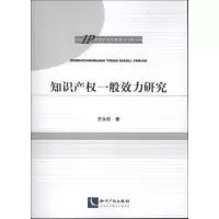 知识产一般效力研究关永宏9787513017848
