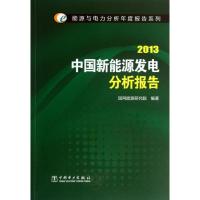 中国新能源发电分析报告 （2013）国网能源研究院9787512348431