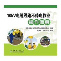 10KV电缆线路不停电作业操作图解盛其富9787512350397