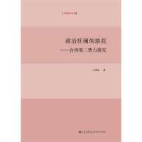 政治狂澜的浪花:台湾D三势力研究王鸿志9787510823251