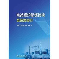 电站锅炉配煤掺烧及经济运行陈刚9787512354203
