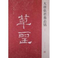 大唐张君墓志铭9787540122225