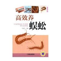高效养蜈蚣(双色印刷)(23)无9787111467342