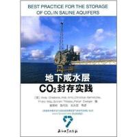 地下咸水层CO2封存实践无9787502195083