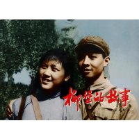 柳堡的故事无9787516803479