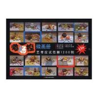 考场控.微画册:艺考应试范画1200例冉亮9787531842033