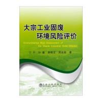 大宗工业固废环境风险评价宁平9787502466558