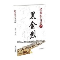 经侦在行动之黑金烈朱恩涛9787501452453