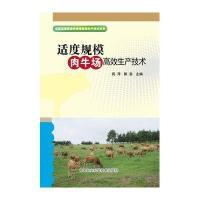 适度规模肉牛场高效生产技术阎萍9787511619297