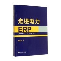 走进电力ERP寿猛生9787308136518