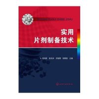 实用片剂制备技术高鸿慈 等9787122211972