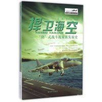 捍卫海空: