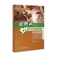 梁野山原生药用植物彩色图谱戴德昇9787561554029