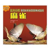 比*小的*雀任任9787551409193