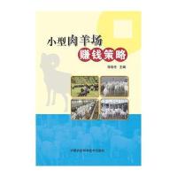 小型肉羊场赚钱策略李连任9787511617712