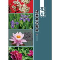 绘画素材图典(花卉)/大众美术丛书温倩9787546958514