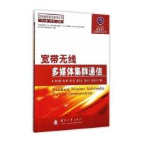 宽带无线多媒体集群通信李少谦9787118102796