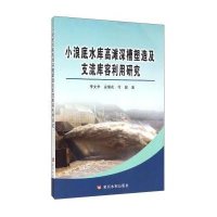 小浪底水库高滩深槽塑造及支流库容利用研究李文学9787550910188