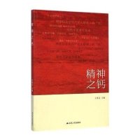 精神之钙王燕文9787214129284
