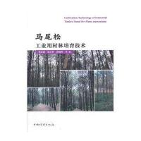 马尾松工业用材林培育技术杨章旗9787503880322