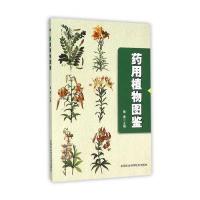 药用植物图鉴隋春9787511623157