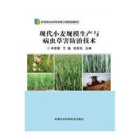 现代小麦规模生产与病虫草害防治技术辛登豪9787511621733