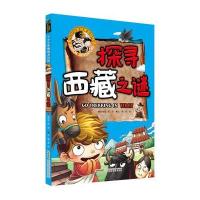 探寻西藏之谜龚勋9787533768072