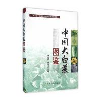 中国大白菜图鉴徐家炳9787109203884