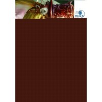 未来不高兴(2)赤色风铃9787537964302