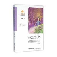 永恒的灯火徐鲁9787534292118