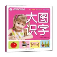 我的启蒙学习书(大图识字)沃野学前教育研发组9787549338047