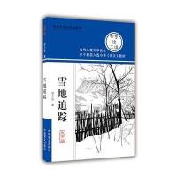 雪地追踪(大字版)宗介华9787500264934