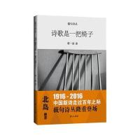 诗歌是一把椅子蒋一谈9787546155517