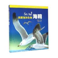 小海米科普丛书?海鸥《小海米科普丛书》编委会9787555217527