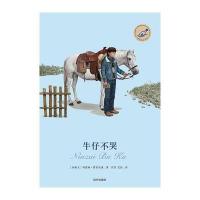 漂流瓶文学馆?牛仔不哭玛丽琳·霍尔沃森9787533280581