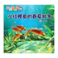 小红鲤的春夏秋冬登亚9787551413831