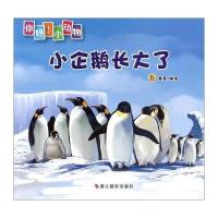 小企鹅长大了登亚9787551413732
