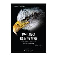 野生鸟类摄影与赏析董河东9787512383166